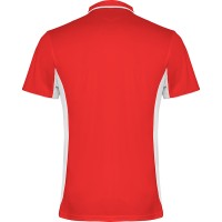 Polo tecnica Roly