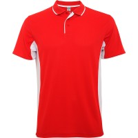 Polo tecnica Roly